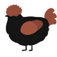 A black and russet chicken