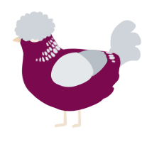 A wine and mist chicken with a neck-band pattern