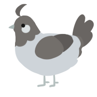 A mist and grey chicken with a head pattern