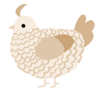 A cream and beige chicken with a lace pattern