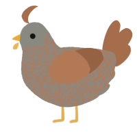 A ash and brown chicken with a double-lace pattern