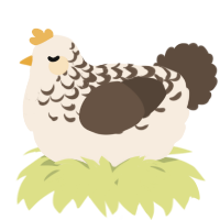 A cream and bark chicken with a half-lace pattern