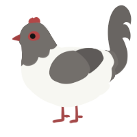 A white and grey chicken with a head pattern