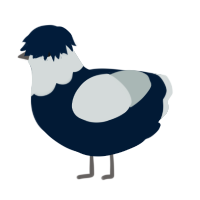 A tumblr and silver chicken with a head pattern