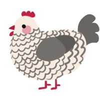 A cream and grey chicken with a lace pattern