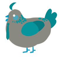 A ash and teal chicken with a neck-speckle pattern