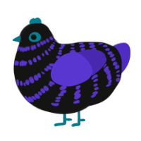 A black and indigo chicken with a bar pattern