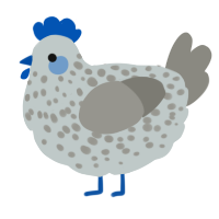 A silver and ash chicken with a speckle pattern