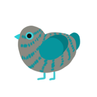 (unnamed), a ash and teal chicken with a bar pattern