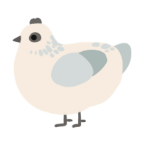 A cream and silver chicken with a neck-speckle pattern