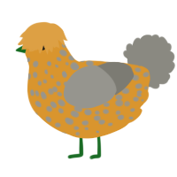 A orange and ash chicken with a speckle pattern
