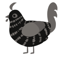 A black and grey chicken with a bar pattern