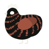 A black and russet chicken with a bar pattern