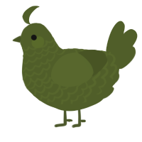 A olive chicken with a lace pattern
