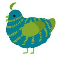 A sea and chartreuse chicken with a bar pattern
