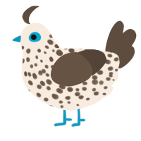 A cream and bark chicken with a speckle pattern