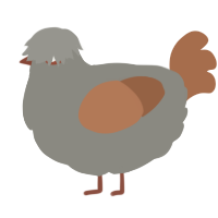 A ash and brown chicken