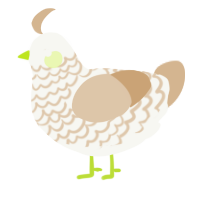 Tiranoffee, a white and beige chicken with a lace pattern