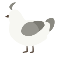 A white and ash chicken