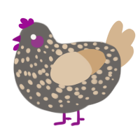 A grey and beige chicken with a speckle pattern