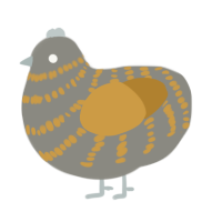 A ash and gold chicken with a bar pattern