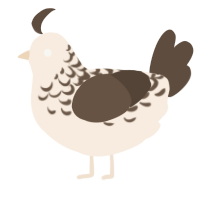 A cream and bark chicken with a half-lace pattern