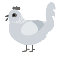 A mist chicken with a neck-speckle pattern