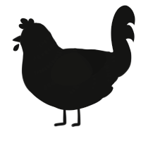 A black chicken with a half-bar pattern