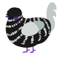 Zephyr, a sable and silver chicken with a bar pattern