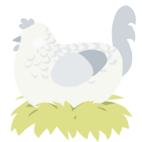 A white and mist chicken with a half-lace pattern