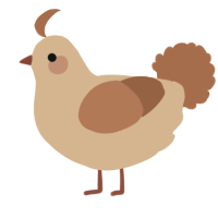 A beige and brown chicken