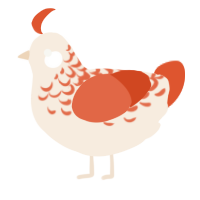 Solar, a cream and vermilion chicken with a half-lace pattern