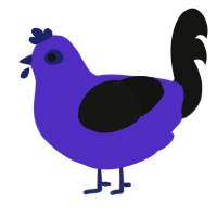 A indigo and black chicken