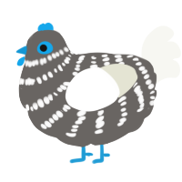 A grey and white chicken with a bar pattern