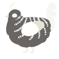 A grey and white chicken with a half-bar pattern