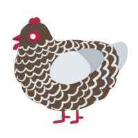 A bark and mist chicken with a lace pattern