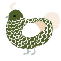 A olive and cream chicken with a lace pattern