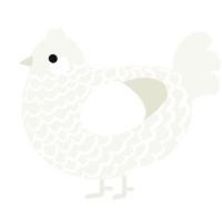 A white chicken with a lace pattern