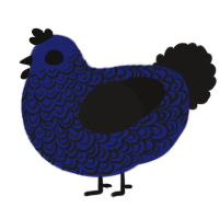 A navy and sable chicken with a double-lace pattern