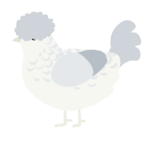 A white and mist chicken with a half-lace pattern