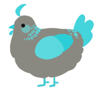 A ash and aqua chicken with a neck-band pattern
