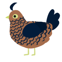 A brown and tumblr chicken with a lace pattern