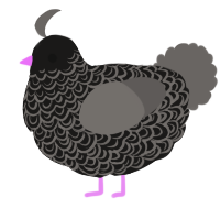 A sable and grey chicken with a double-lace pattern