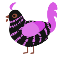 A black and orchid chicken with a bar pattern