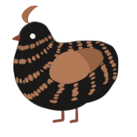 A sable and brown chicken with a bar pattern