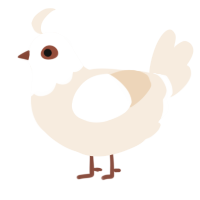 A cream chicken with a head pattern