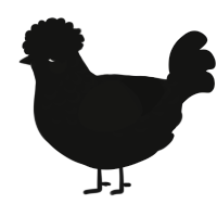 A black chicken with a half-lace pattern