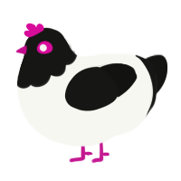 A white and black chicken with a head pattern
