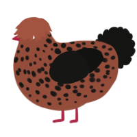 A russet and black chicken with a speckle pattern