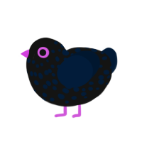 (unnamed), a black and tumblr chicken with a speckle pattern